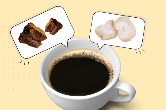 Unlocking Nature's Brain Boost: The Power of Lion's Mane & Chaga Mushrooms in Your Coffee